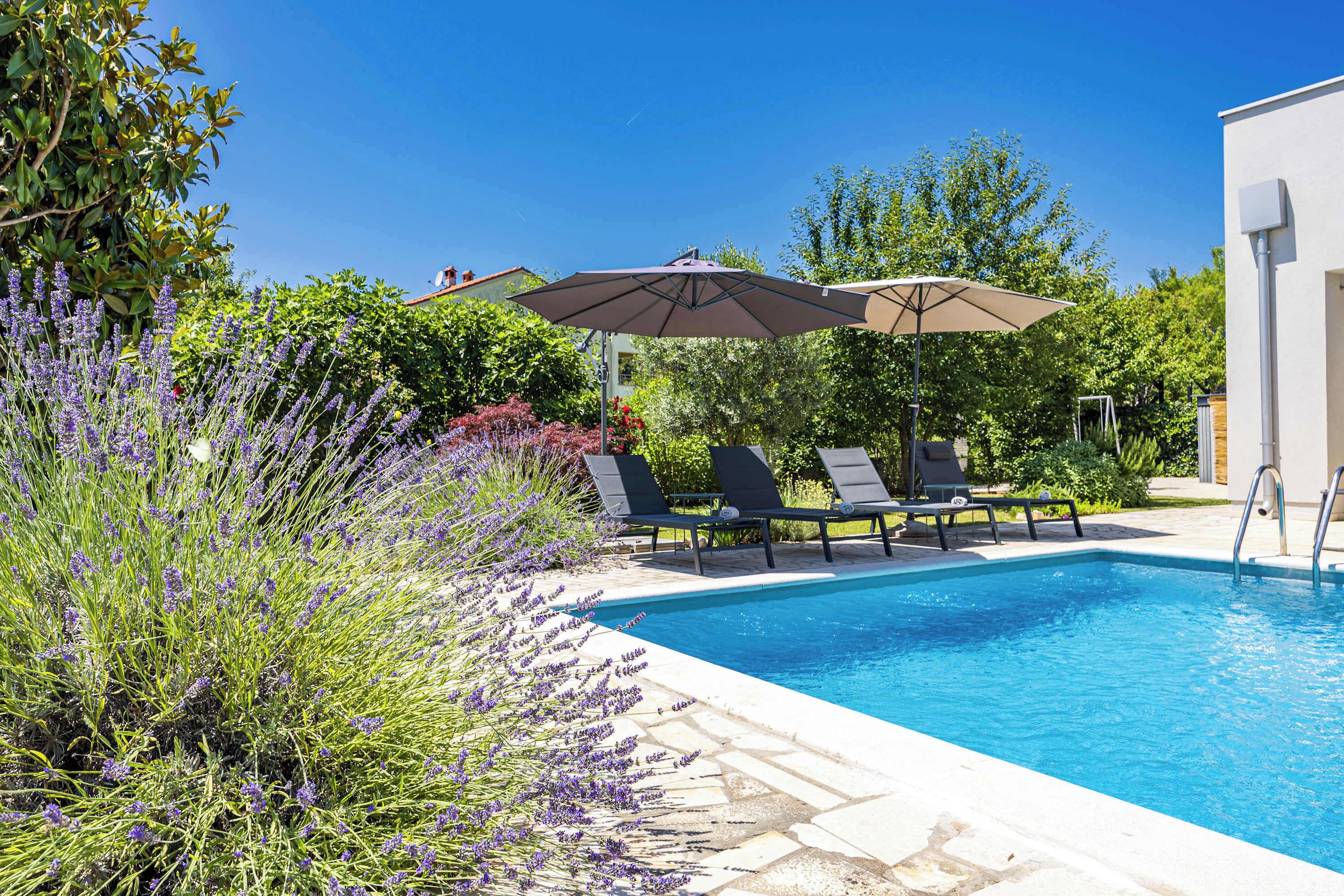 A swimming pool with lounge chairs and an umbrella, surrounded by greenery and a building.