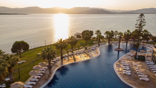 Une piscine d’hôtel avec des chaises longues et des parasols, entourée de palmiers et offrant une vue sur la mer.