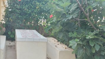 Terrein van de accommodatie