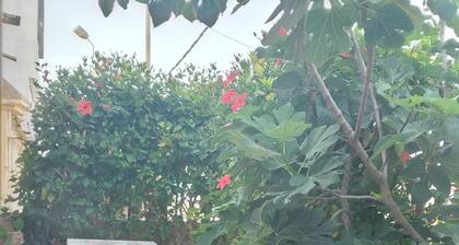 1 Bedroom Private vacation home in Tnine aglou