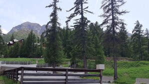 A wooden fence with a gravel path and yellow flowers in the foreground. - L' IDEAL at Ecrin des Neiges. (Vars)