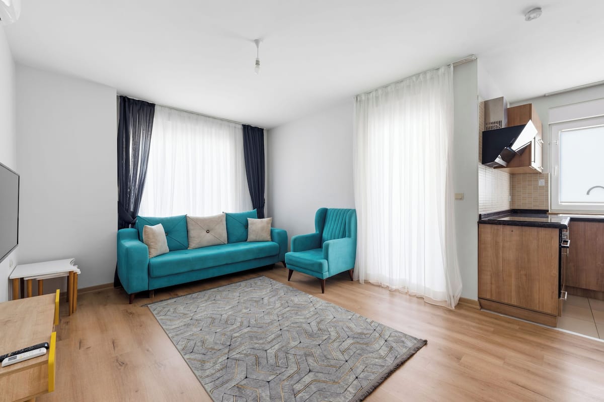 A modern living room with a sofa, a rug, a TV, and a kitchen area.