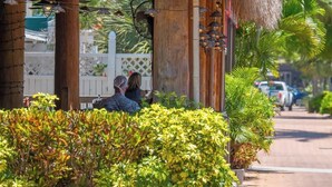 A thatched-roof structure with hanging lights, surrounded by lush greenery and a white fence. - Pool home,Pet friendly, 5 mins drive to Siesta Key (Sarasota)