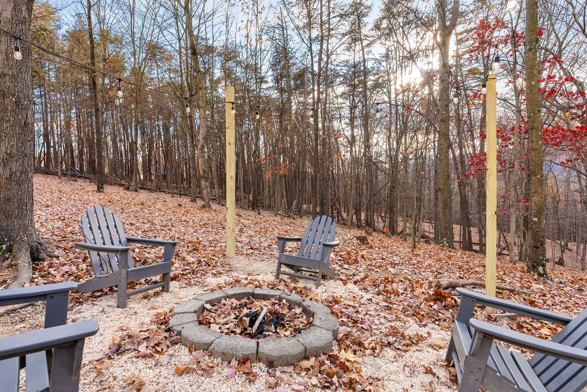 A forested area with Adirondack chairs arranged around a fire pit.