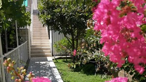 A pathway leading to a building with a staircase, surrounded by lush greenery and pink flowers.