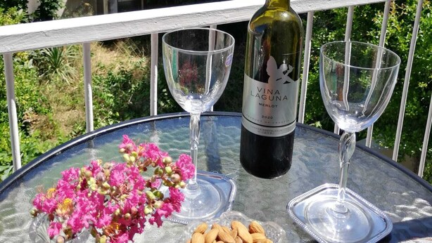 A table with a bottle of Vina Laguna Merlot 2020, two wine glasses, a vase with pink flowers, and a bowl of almonds on a balcony overlooking a cityscape.