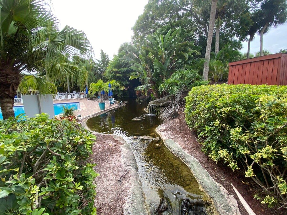 A landscaped area with a water feature, including a small stream and a pool, surrounded by dense greenery and a red fence.