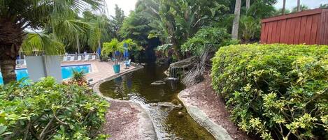A landscaped area with a water feature, including a small stream and a pool, surrounded by dense greenery and a red fence.