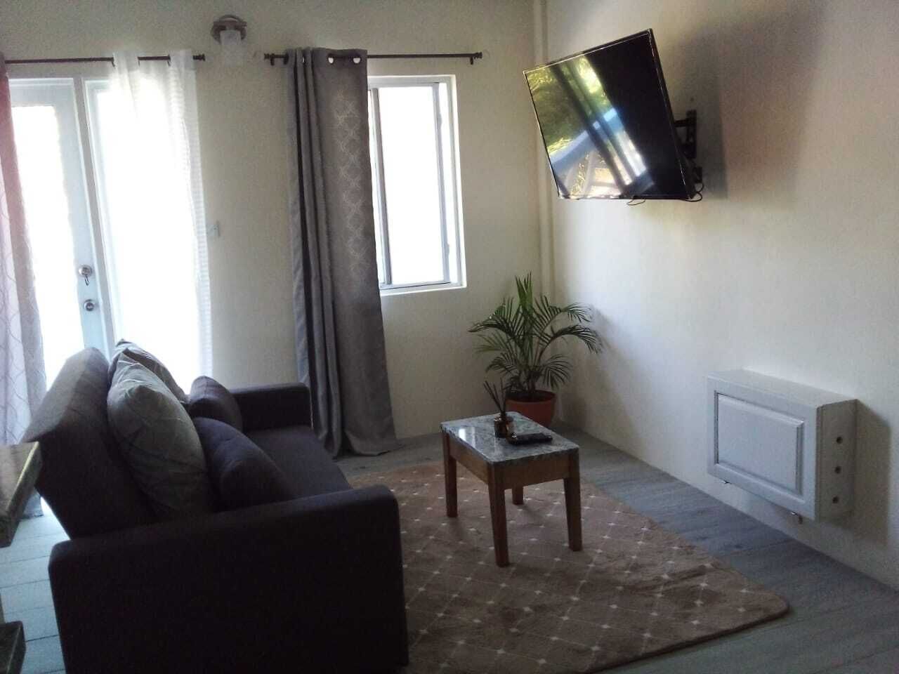 A living room with a sofa, a small table, a potted plant, a flat-screen TV mounted on the wall, and a window with curtains.