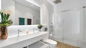 Shower, hair dryer, towels