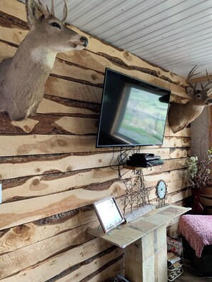 Cozy cabin-style interior with a mounted TV, clock, and shelf, complemented by a framed picture and a potted plant.