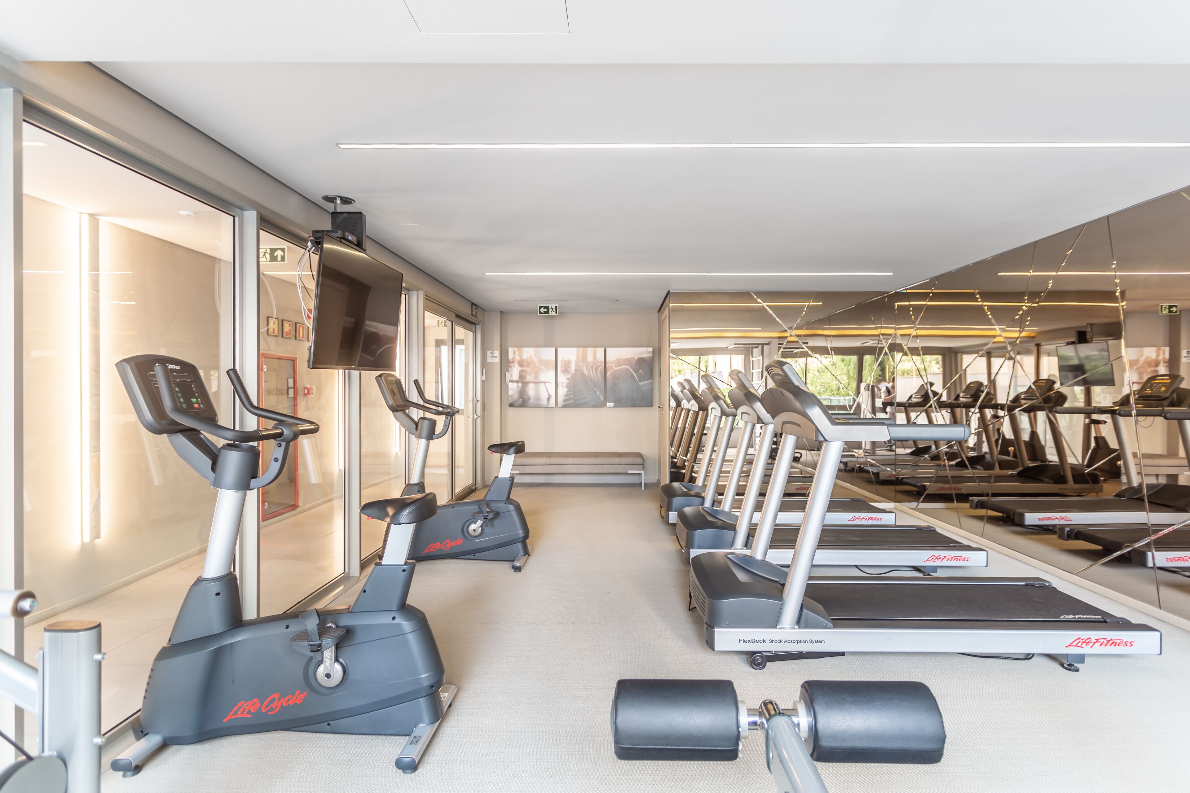 A gym with treadmills, elliptical machines, and dumbbells.