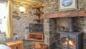 Ein gemütliches Zimmer mit Steinwand, Holzregal, Fernseher, Kaminfeuer mit einem Holzscheit und einem Korbwäschekörbchen sowie einem gemusterten Teppich.
