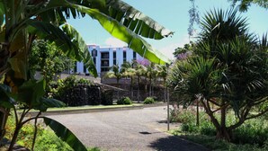 Property grounds - MIO Apartment by Madeira Sun Travel (Funchal)
