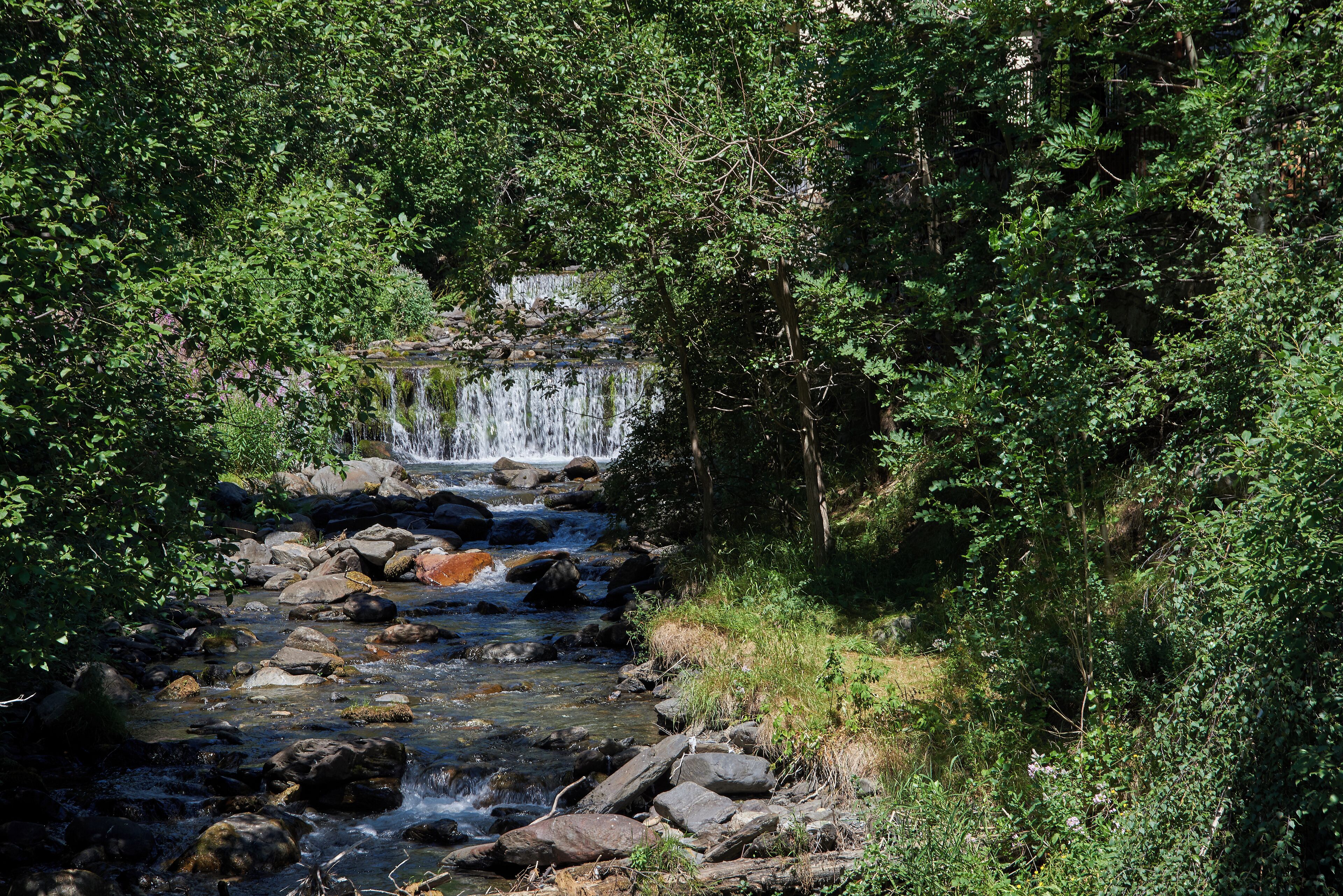 A natural stream with rocks and greenery.
