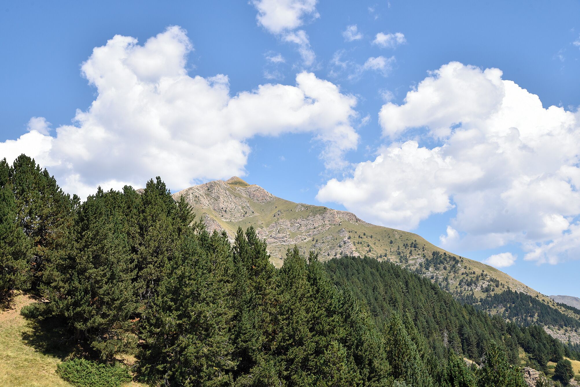 A mountain landscape with dense forest at the base and a clear sky.