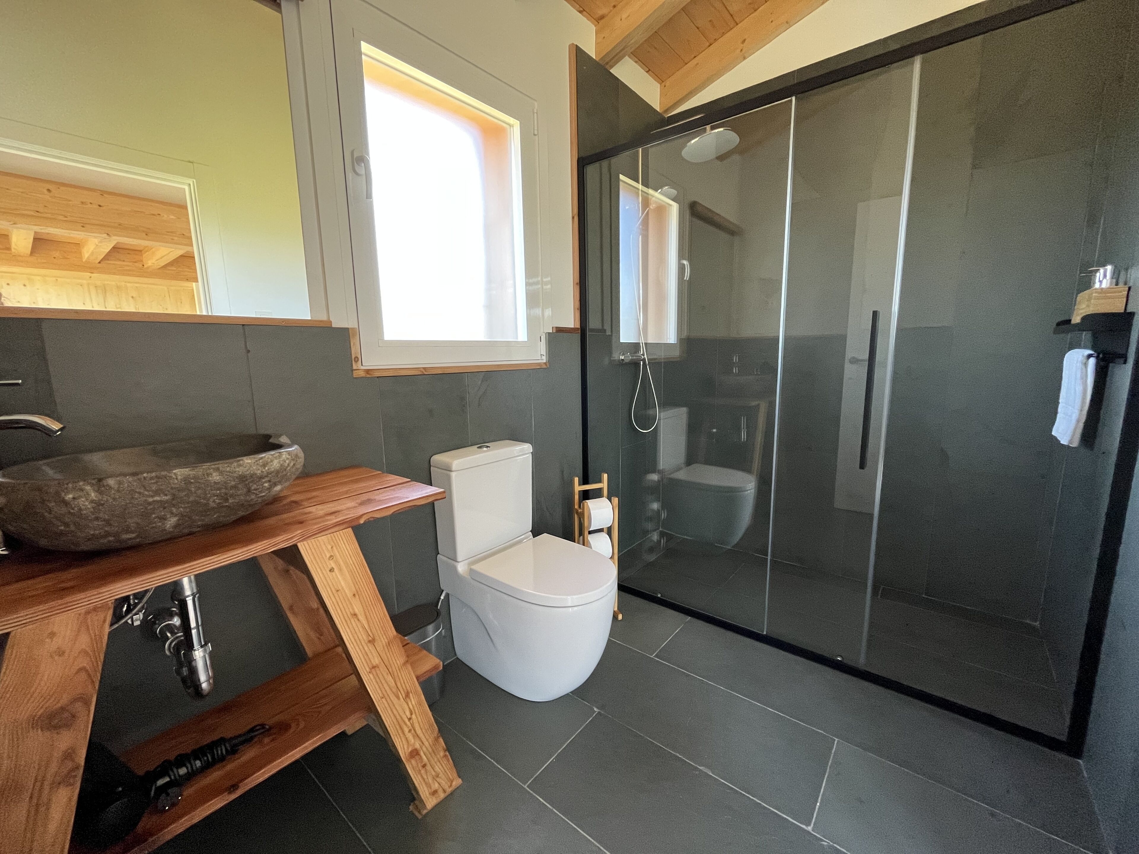 Un baño moderno con un lavabo de piedra, un inodoro y una ducha con mampara de vidrio.