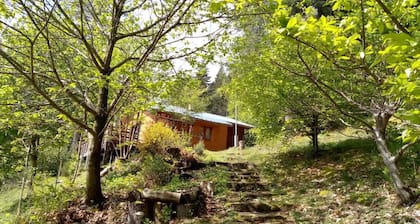 Le chalet du lac
