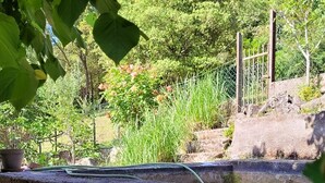 Ein Garten mit einem Wasserspiel, einem Holzzaun und einer Steinmauer.