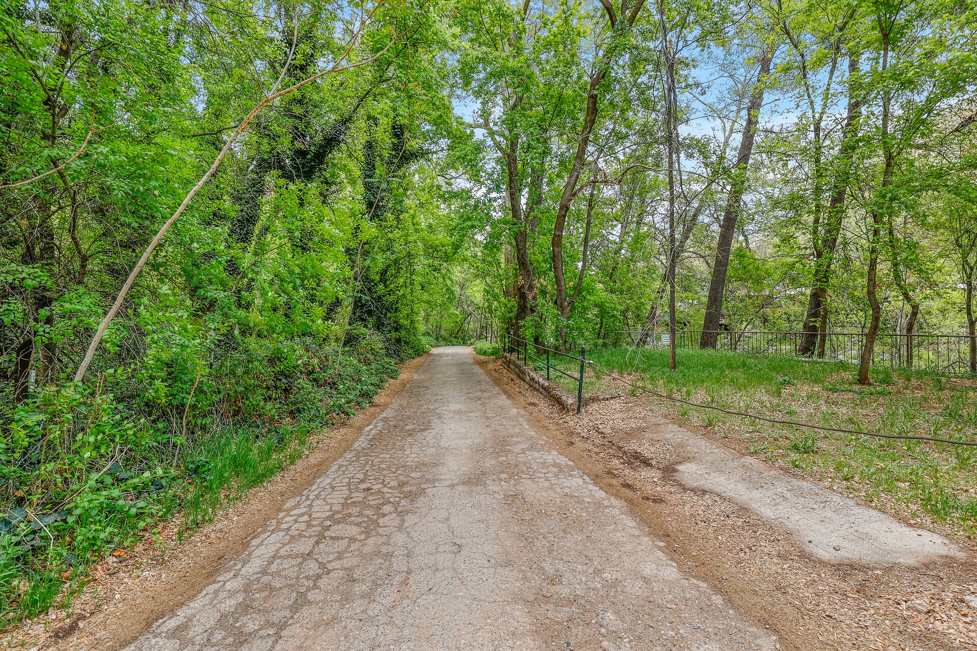 Un sendero pavimentado que atraviesa una zona boscosa, con una valla metálica a un lado.