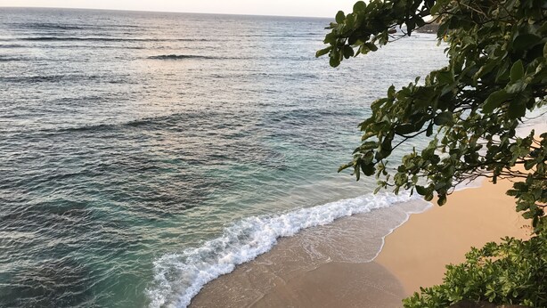 A beach with waves gently lapping onto the shore, surrounded by greenery.