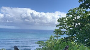 A pathway leading to a scenic ocean view, surrounded by lush greenery and a clear sky.