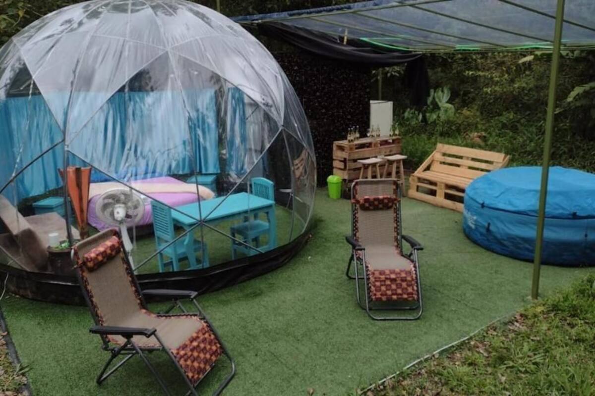 Een transparante koepelconstructie met een blauw interieur, omgeven door groen kunstgras, en bevat twee klapstoelen en een kleine tafel.