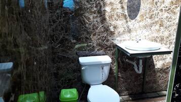 Shower, rainfall showerhead, towels, soap