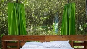 高级双人房, 山景 | 迷你吧、特色装修、特色家居、床单