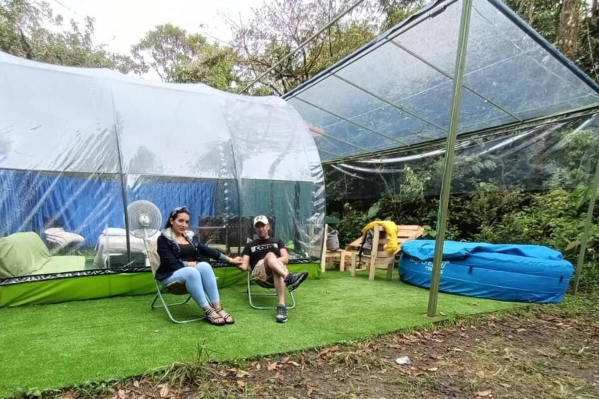 Een tent met een transparant dak, een vloer van kunstgras en een blauwe loungestoel.