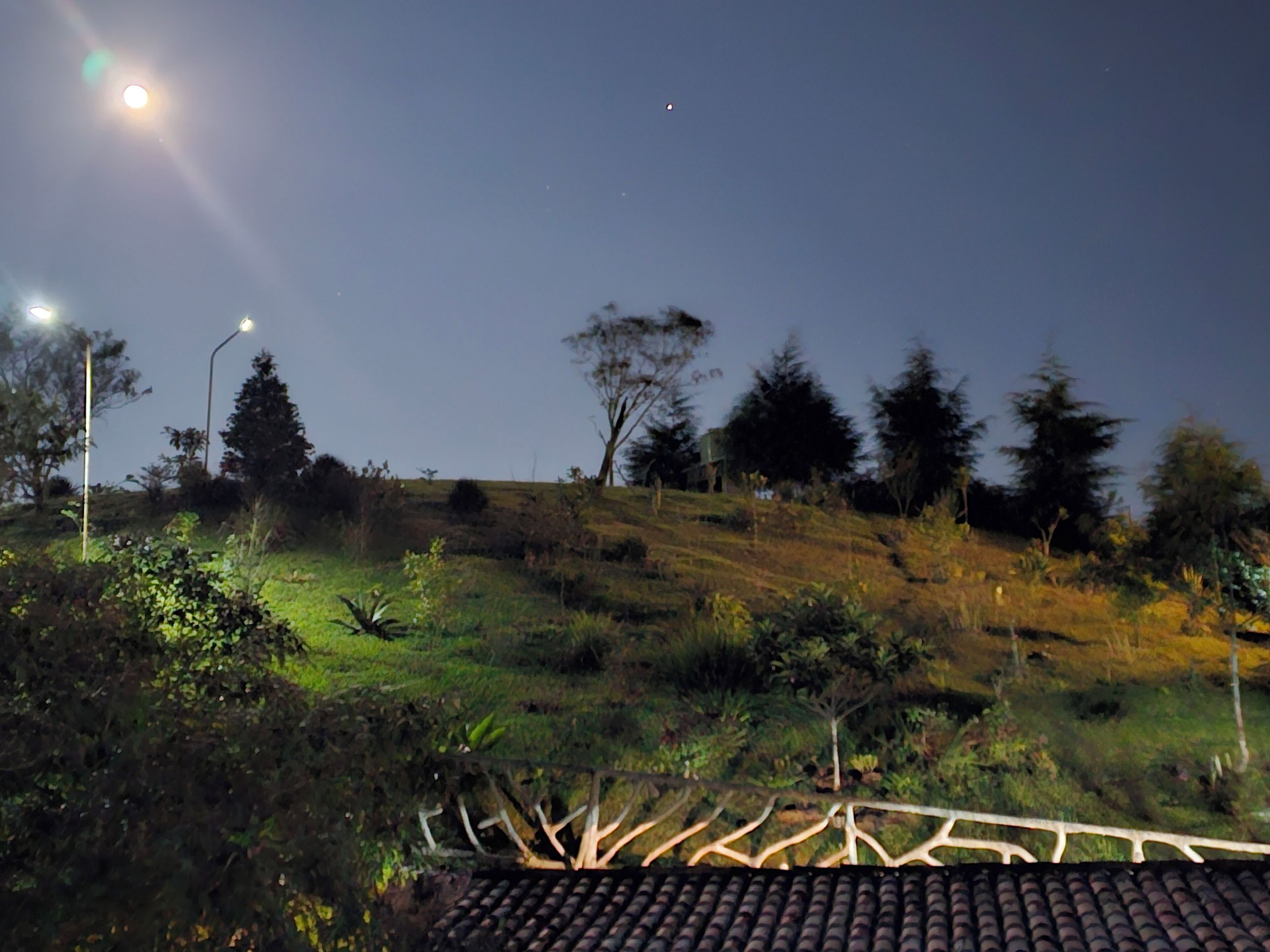 A night scene with a hill, trees, and a streetlight.