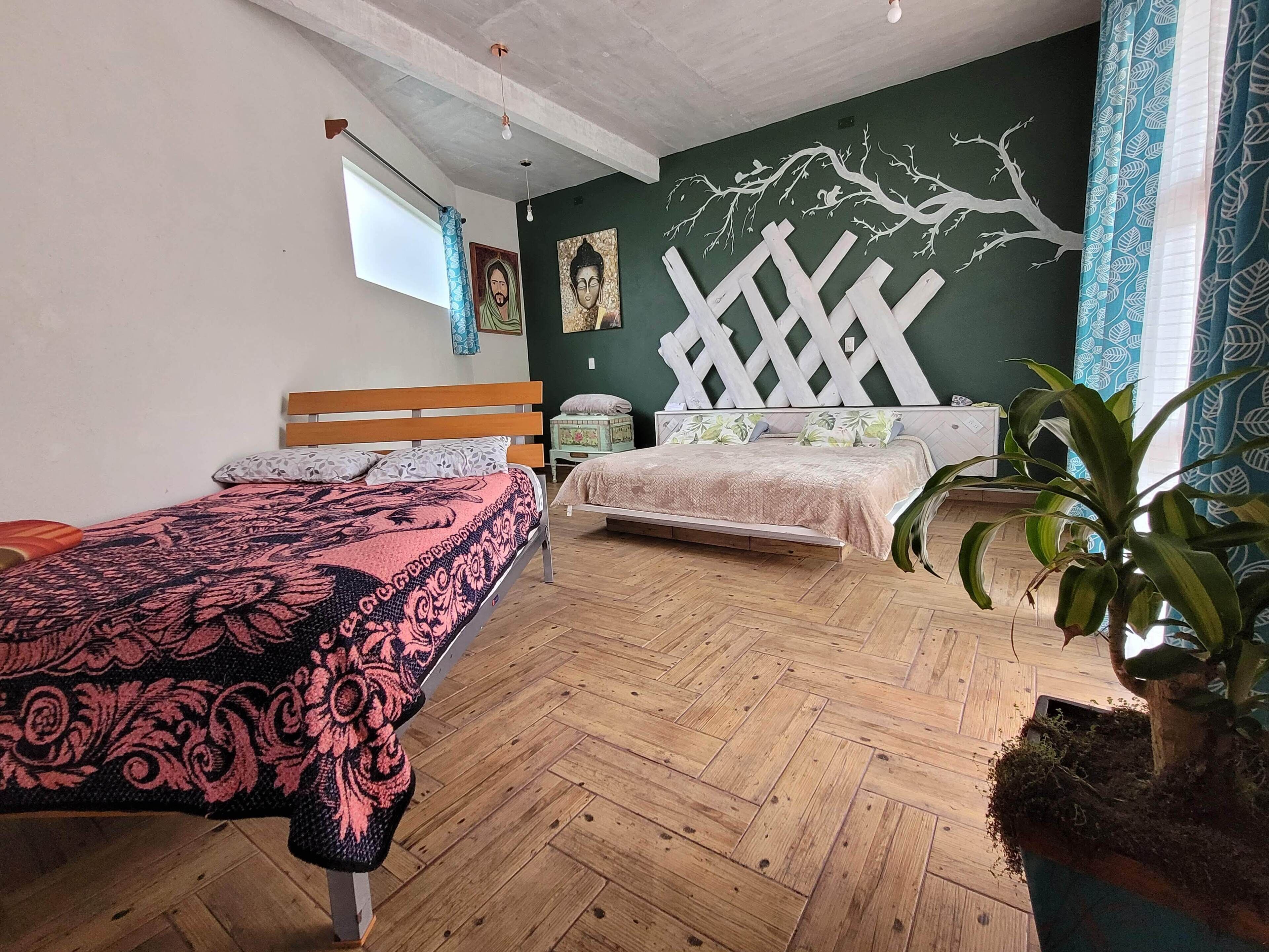 A bedroom with two beds, a wooden floor, a green accent wall, and a large plant.