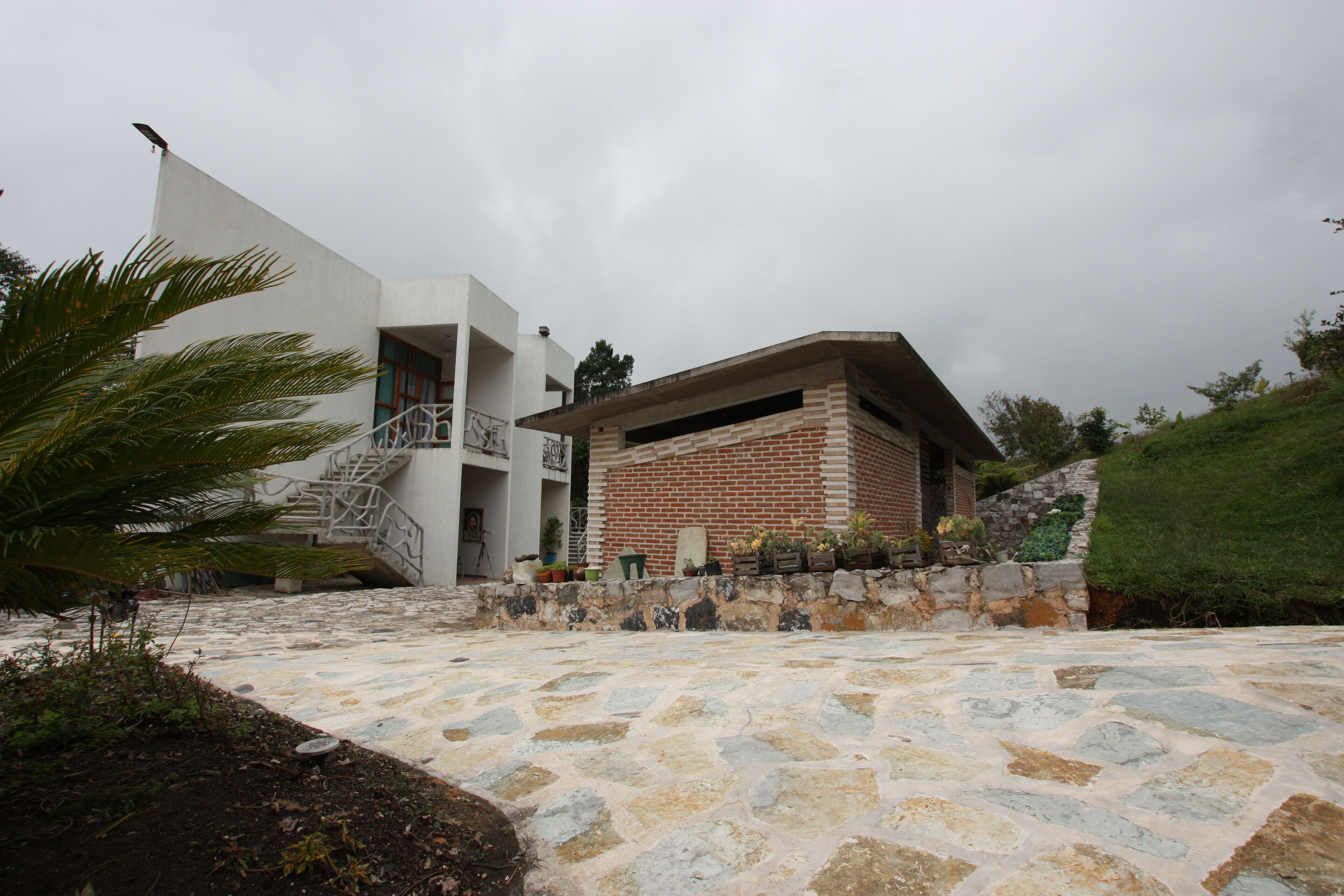 A modern building with a mix of white and brick exteriors, a stone-paved courtyard, and a palm tree.