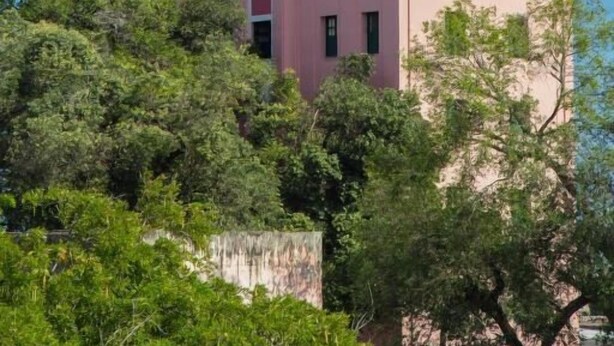A pink building with multiple windows and a flat roof, surrounded by greenery. - Hotel Central Recife (Recife)