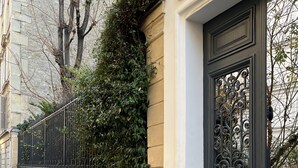 A black ornate door with a decorative metal grille, a beige wall with a stone base, and a metal fence with greenery. - Quiet, cozy apartment on flower-filled courtyard in Paris. (Paris)