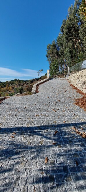 Property grounds - Canastro do Vidoeiro - Quinta dos Novos Canastros (Anissó)