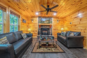 Smart TV, fireplace, video game console, books