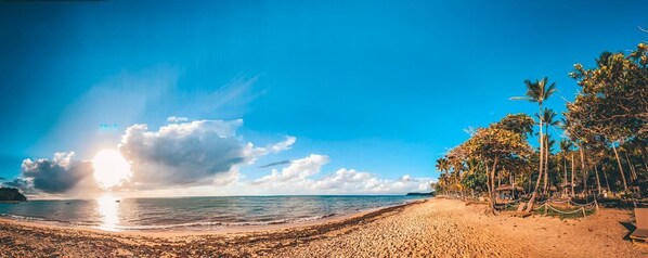 Een strand met heldere lucht, palmbomen en een rustige zee.