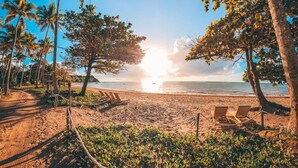Ein Strand mit Palmen, einem Sandweg und Liegestühlen.