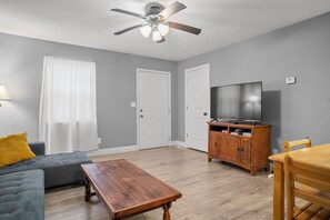 Smart TV, fireplace, books