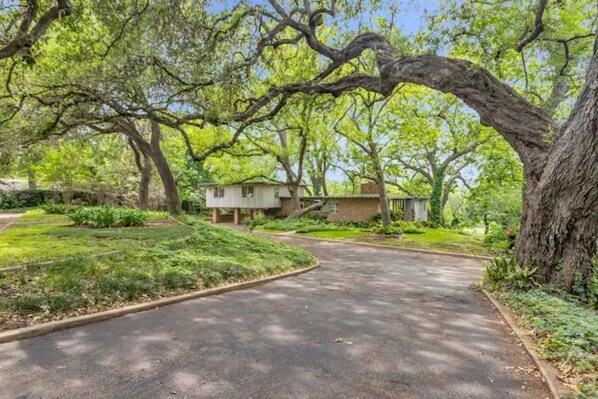 A residential area with a paved driveway leading to a house surrounded by lush greenery and large trees. - New!!! Luxury Riverfront Oasis with Gorgeous Oaks and Ping Pong Table! (Seguin)