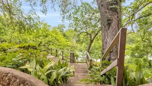 Eine Holztreppe, umgeben von üppigem Grün, die zu einer höheren Ebene führt.