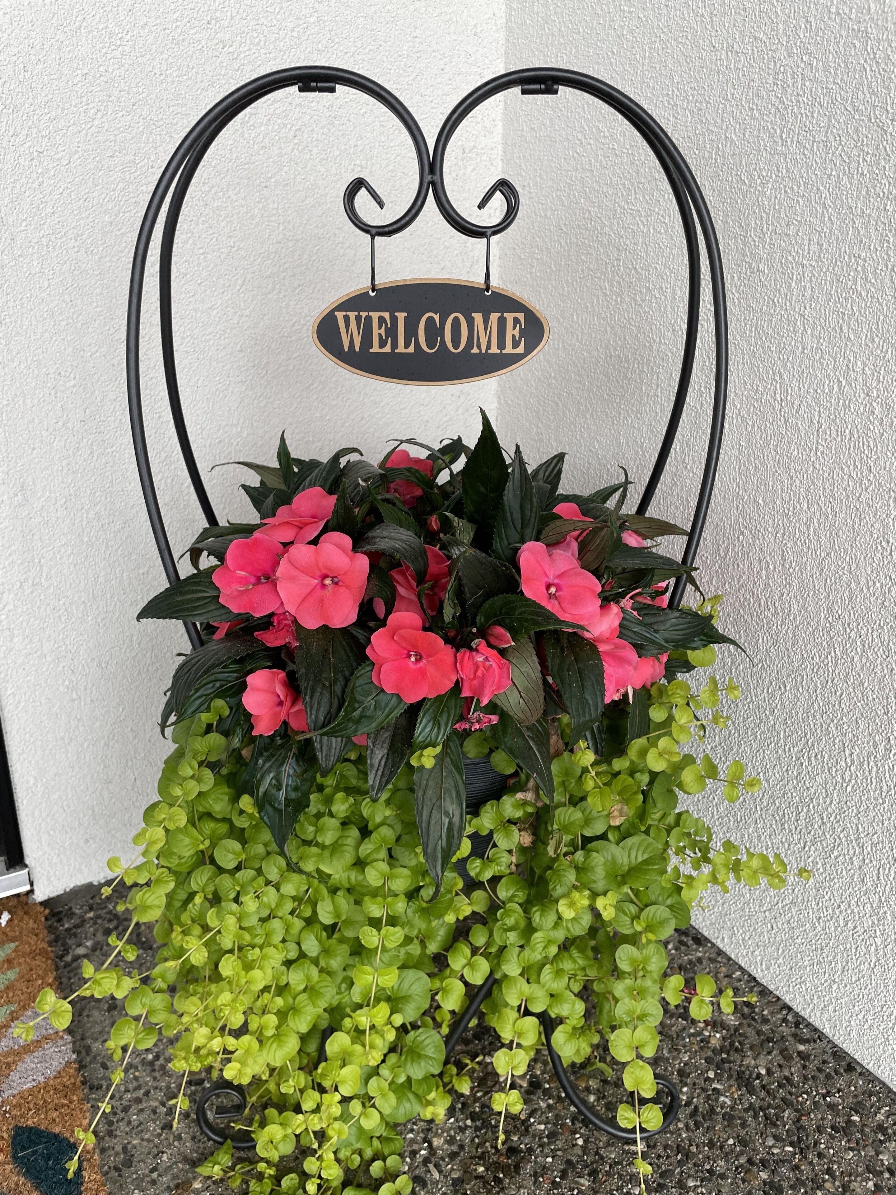 Segnale di benvenuto sopra a un vaso con fiori rosa e verde vegetazione.
