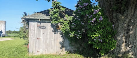 Boendeområde