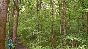 A forested trail with a sign indicating no parking and no bicycles. - Huddersfield House, Wood View (Huddersfield)