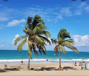 Une plage bordée de palmiers, avec l’océan en toile de fond.