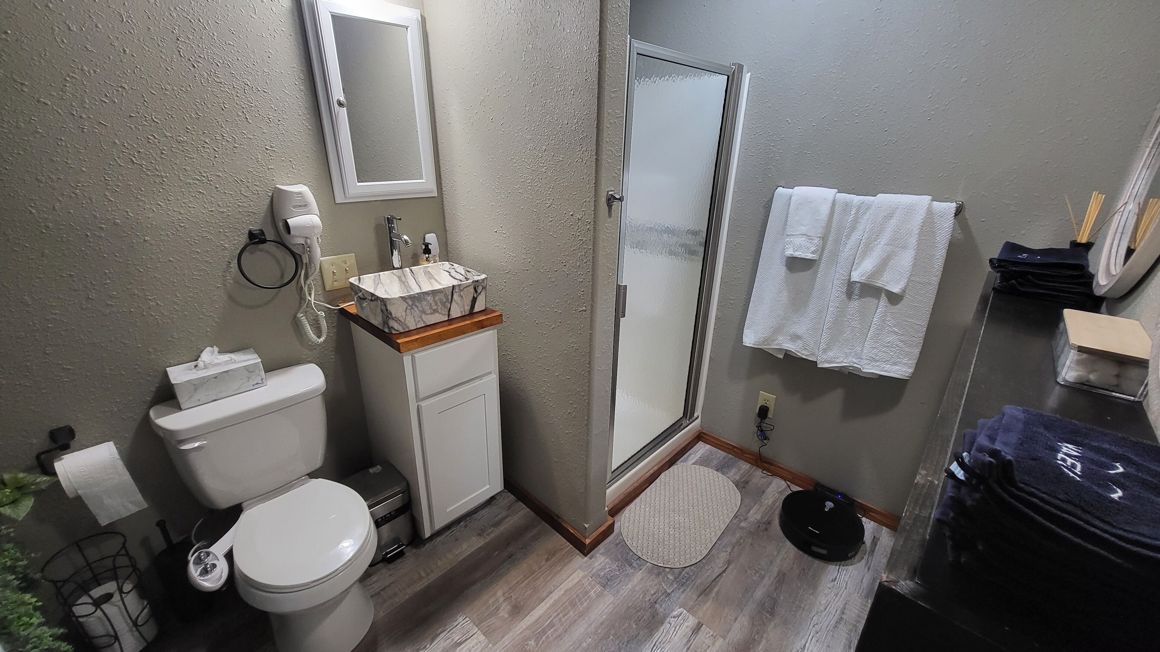 Shower, hair dryer, bidet, towels