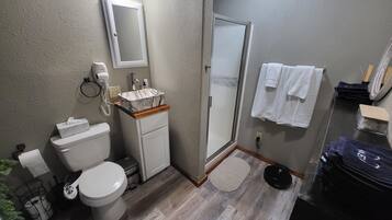 Shower, hair dryer, bidet, towels