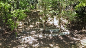 A forested area with a rocky outcrop and trees. - ❤️ Tiny House with Creek Access ❤️ (Anderson)