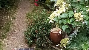 En trädgård med en stenvalvsingång, en liten damm och olika blommande växter.